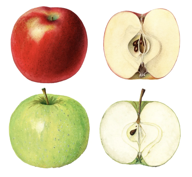 Apple Garland