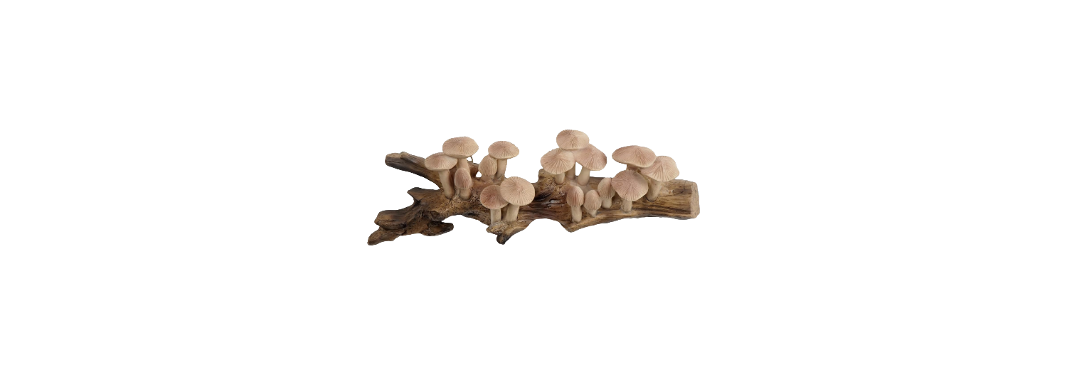 Mushrooms.png