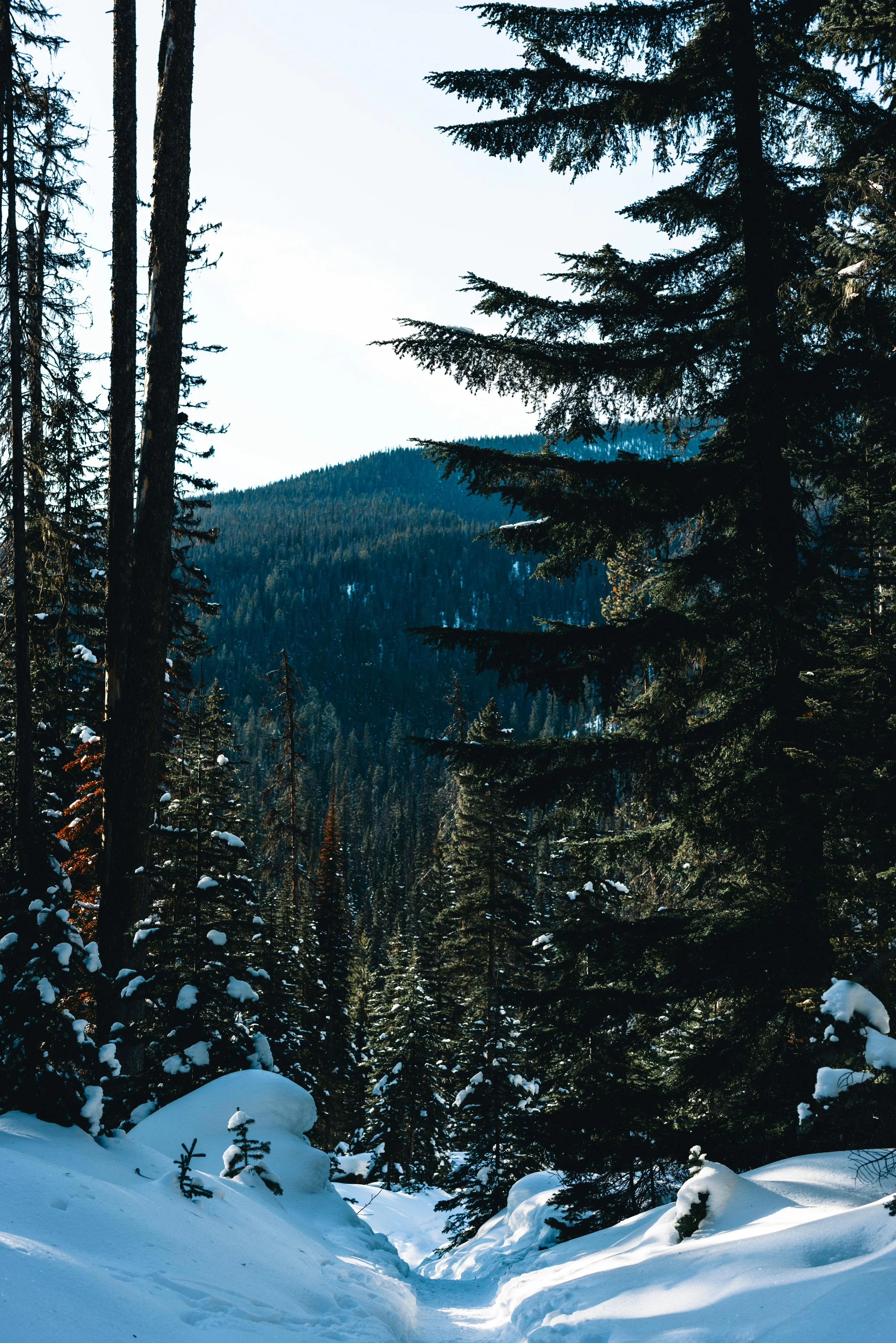 Canadian Frontier