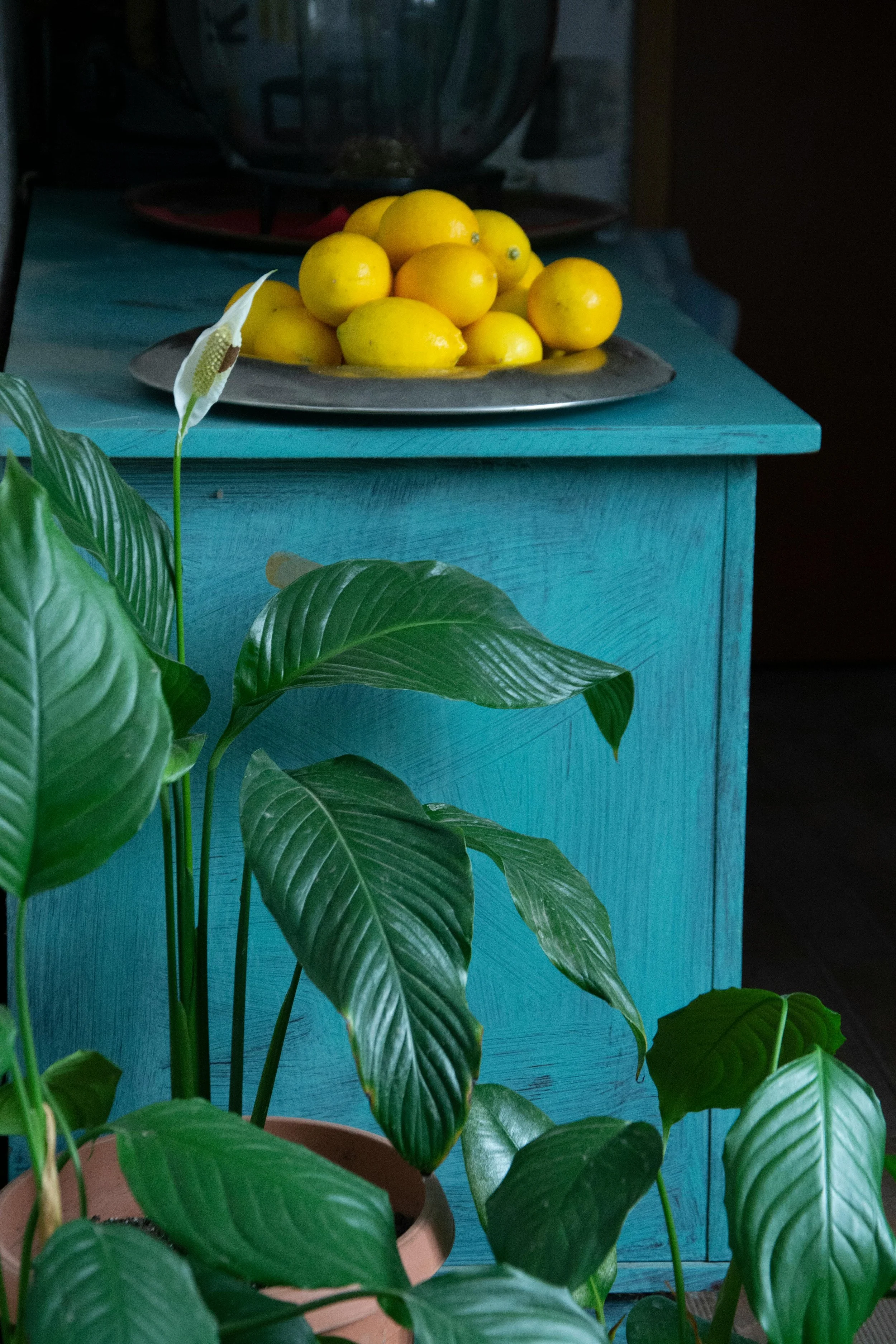 Lemons by Eko Tavkhelidze