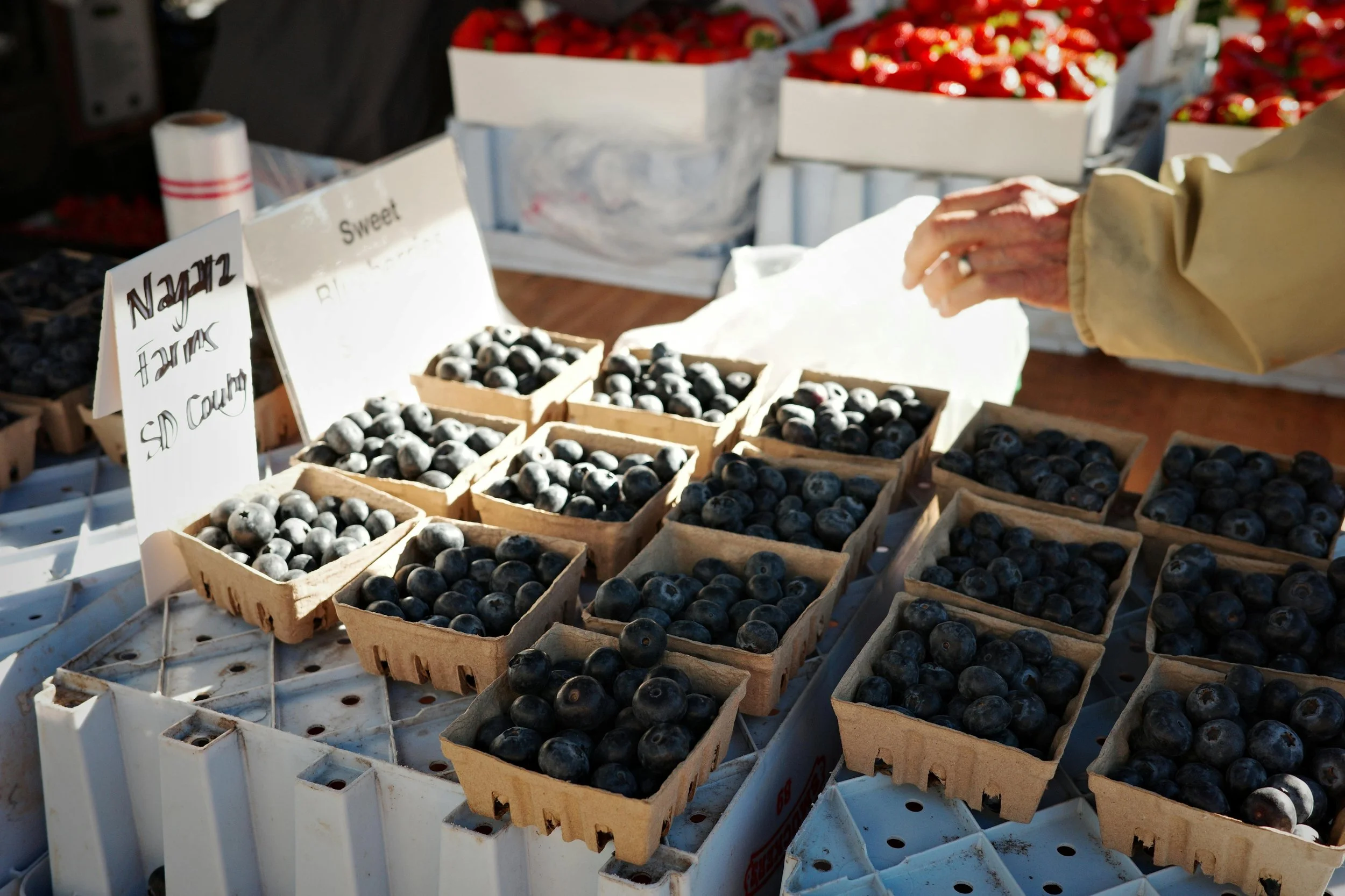 Blueberries Farmer's Market