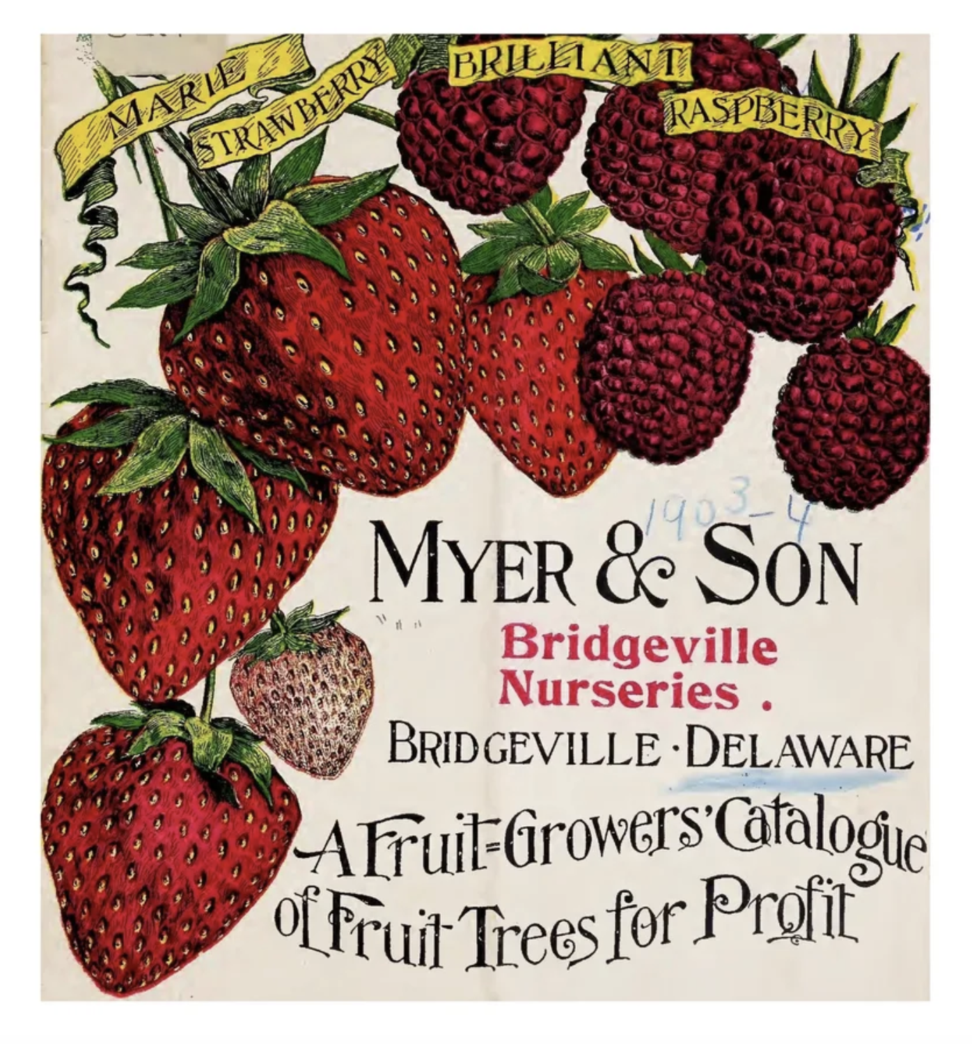 Seed Packet Party Favor