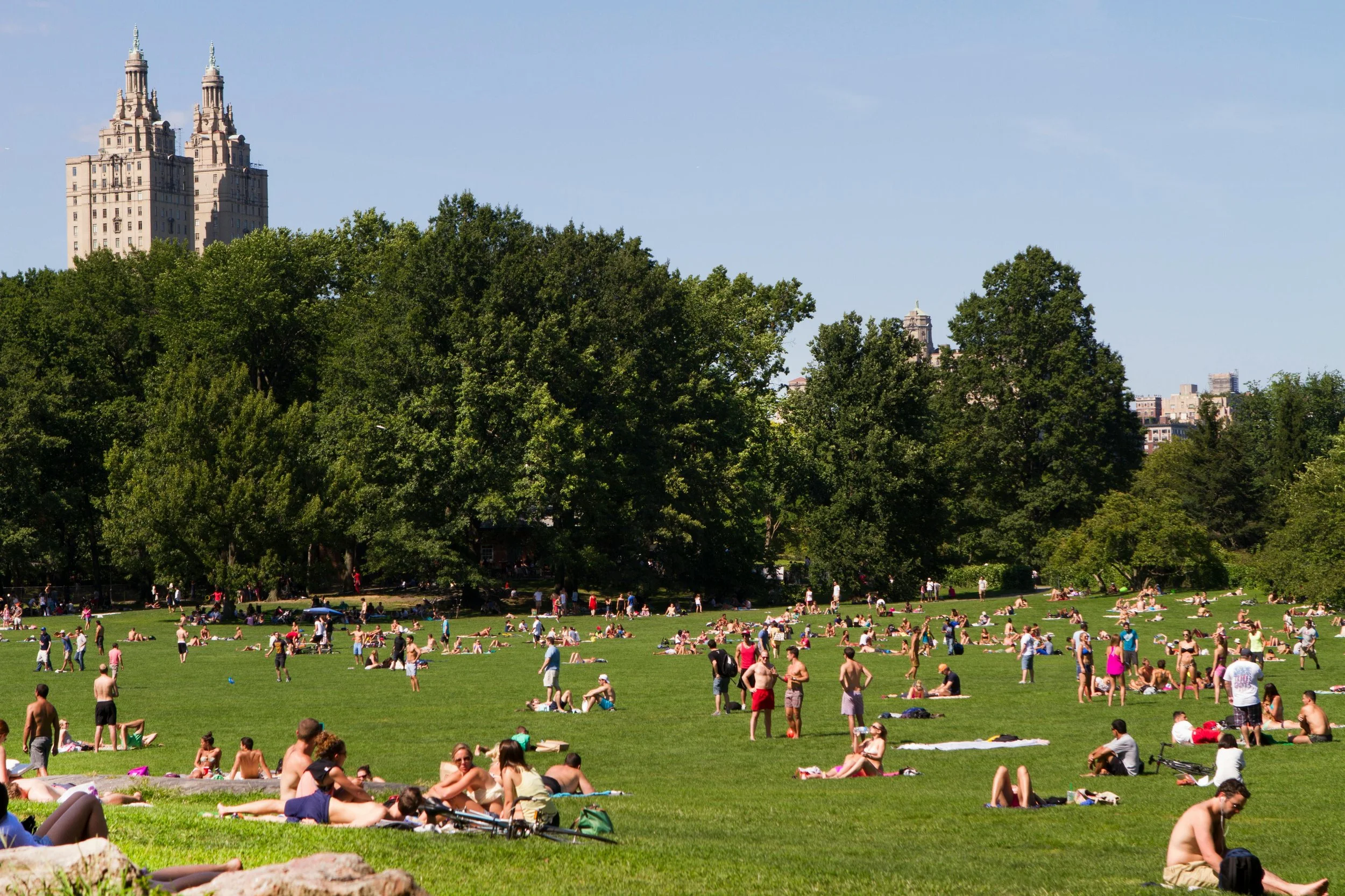 Sheep Meadow inside Central Park by Ramaz Bluashvili.