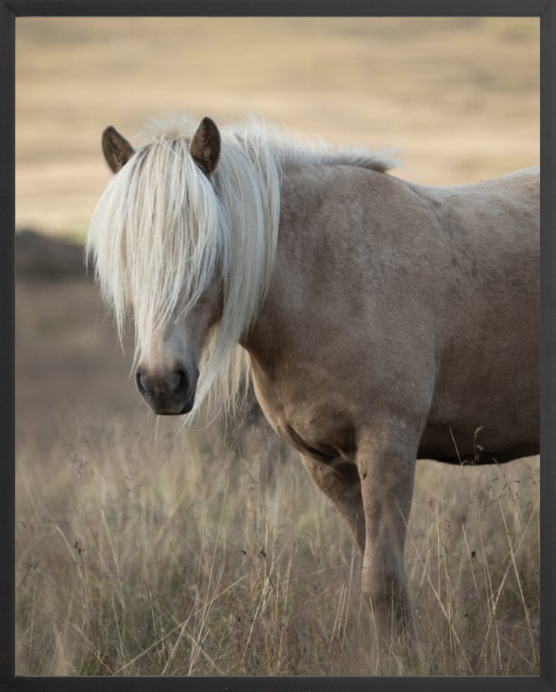 45007_b.PNG