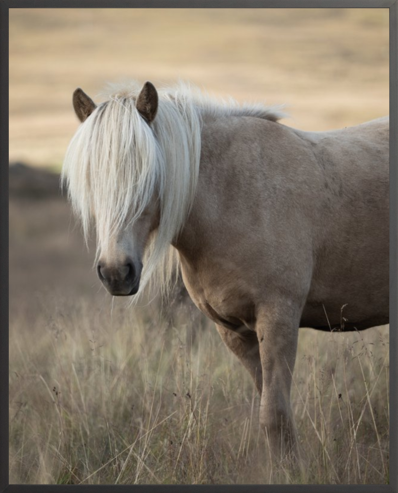 45009_b.PNG