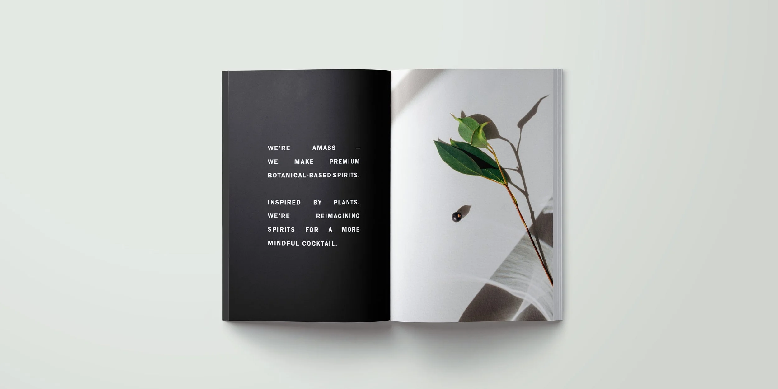 brand booklet.jpg