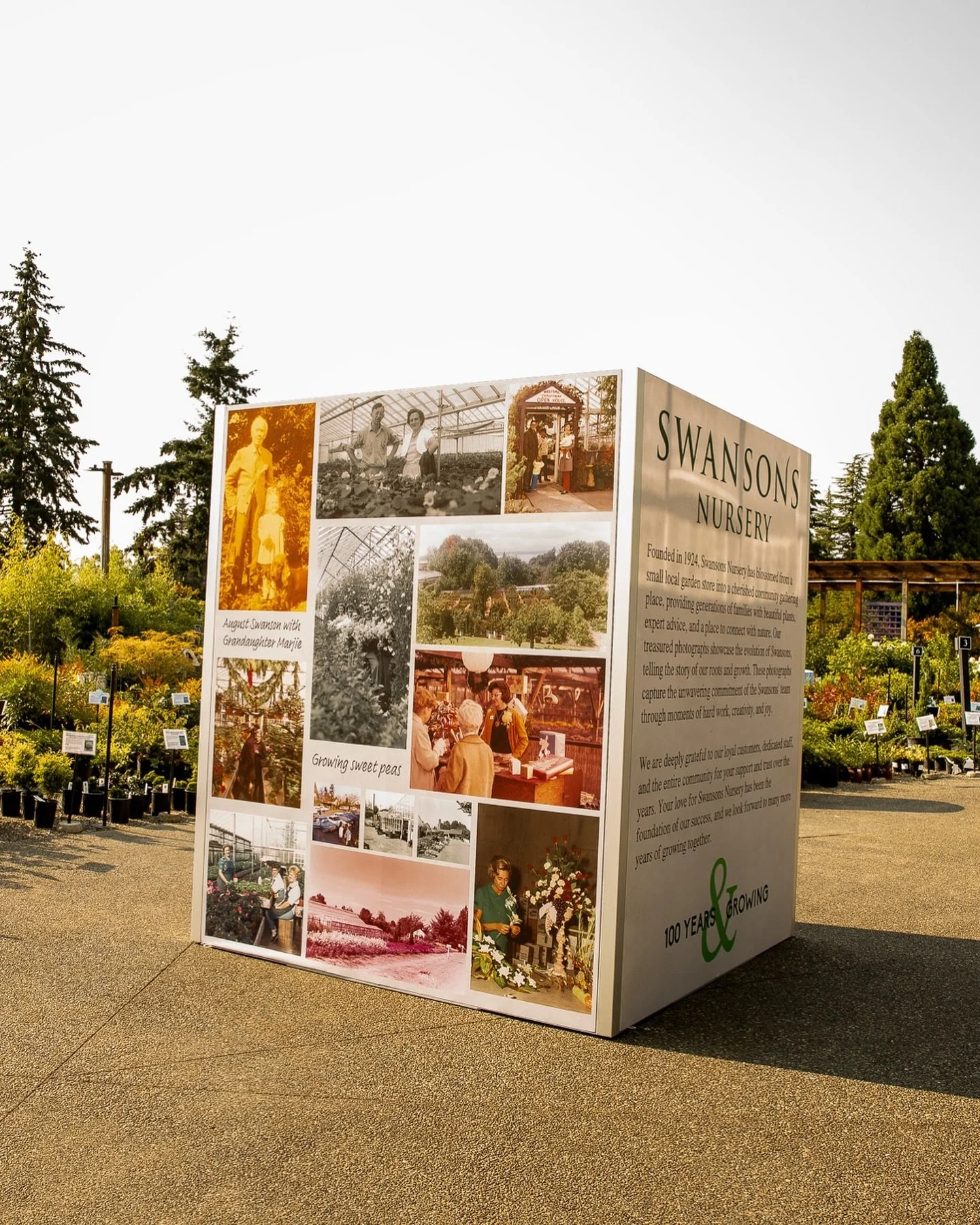 Just some of of the awesome activations at the @swansonsnurseryseattle Centennial Celebration last week! 

💼 Custom heat press tote bags
💨 Holiday dollar whirlwind
🥕 Veggie kart racing
🖍️ Giant Coloring Wall
🧽 Temporary Tattoo station
🎨 Face Pa