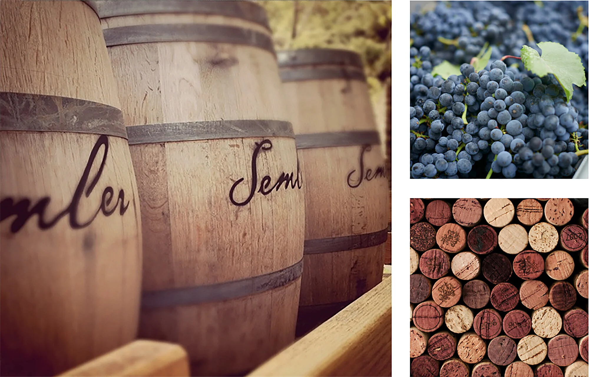 winemaker-composite.jpg