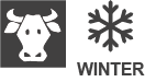 COW-WINTER.png