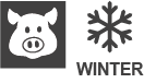 PIG-WINTER.png