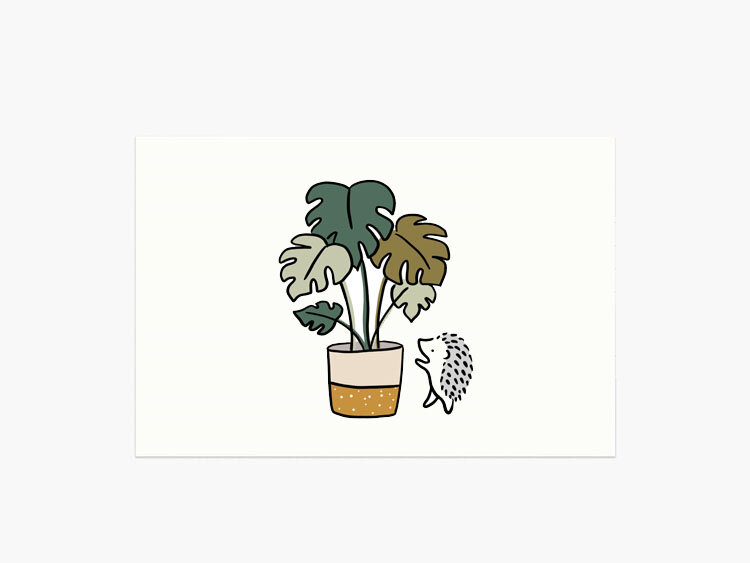 Monstera Postcard