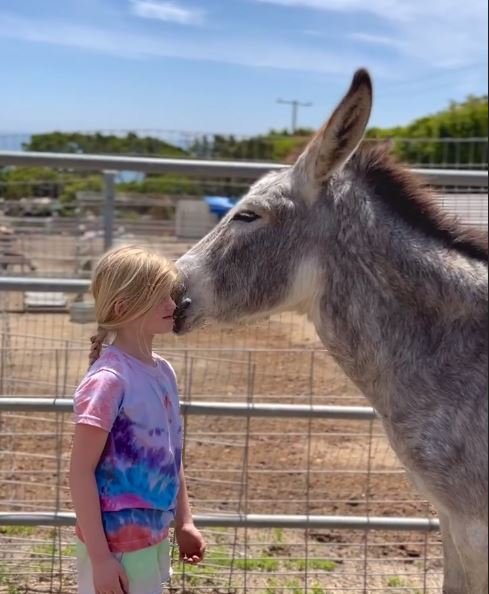 Donkey and Girl.JPG