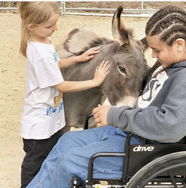 Image 11-22-25 at 12.09 AM.jpeg