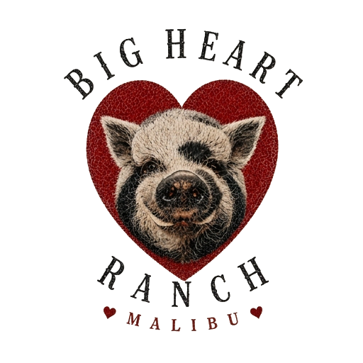 Big Heart Ranch