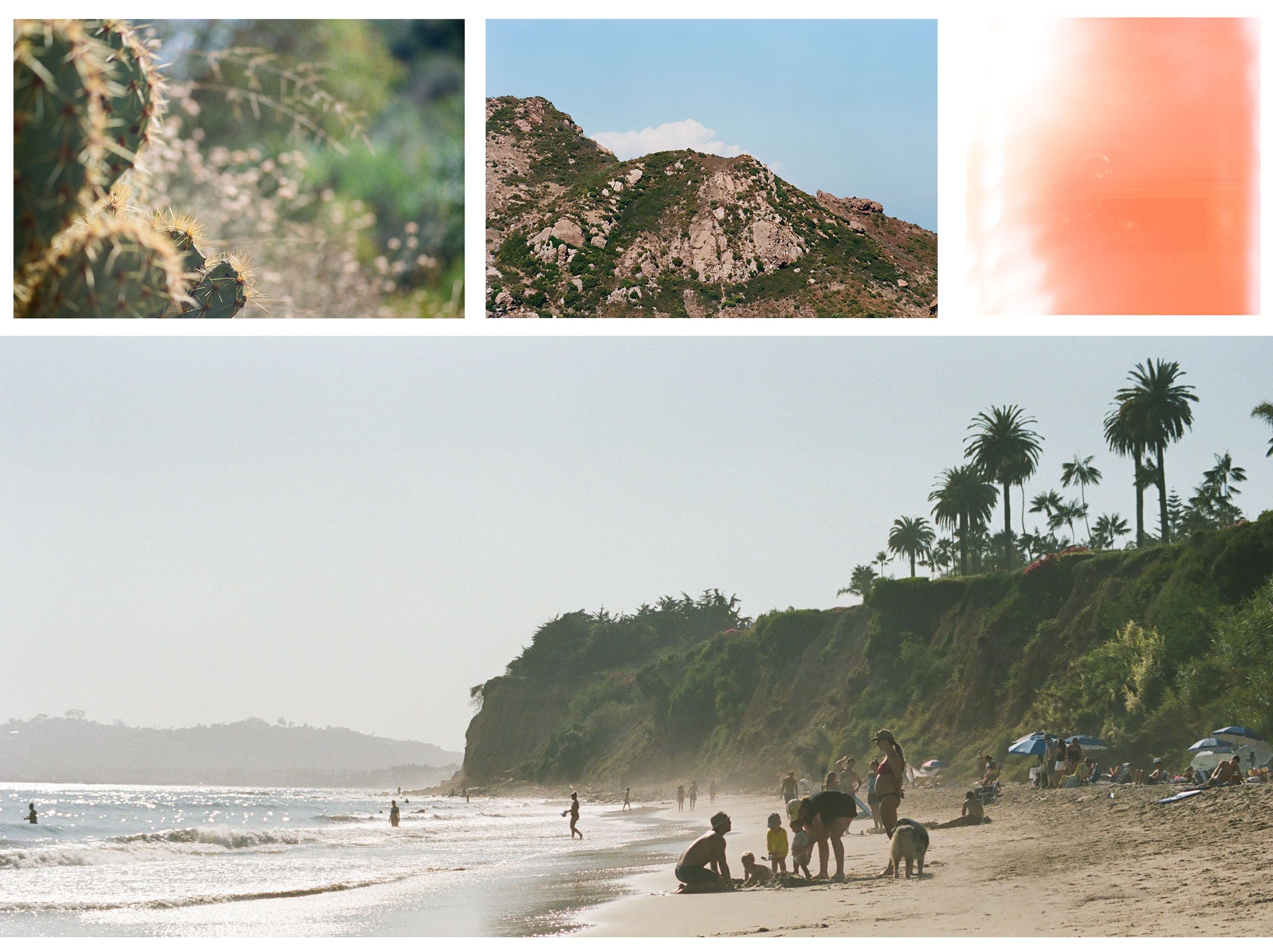 beach.png