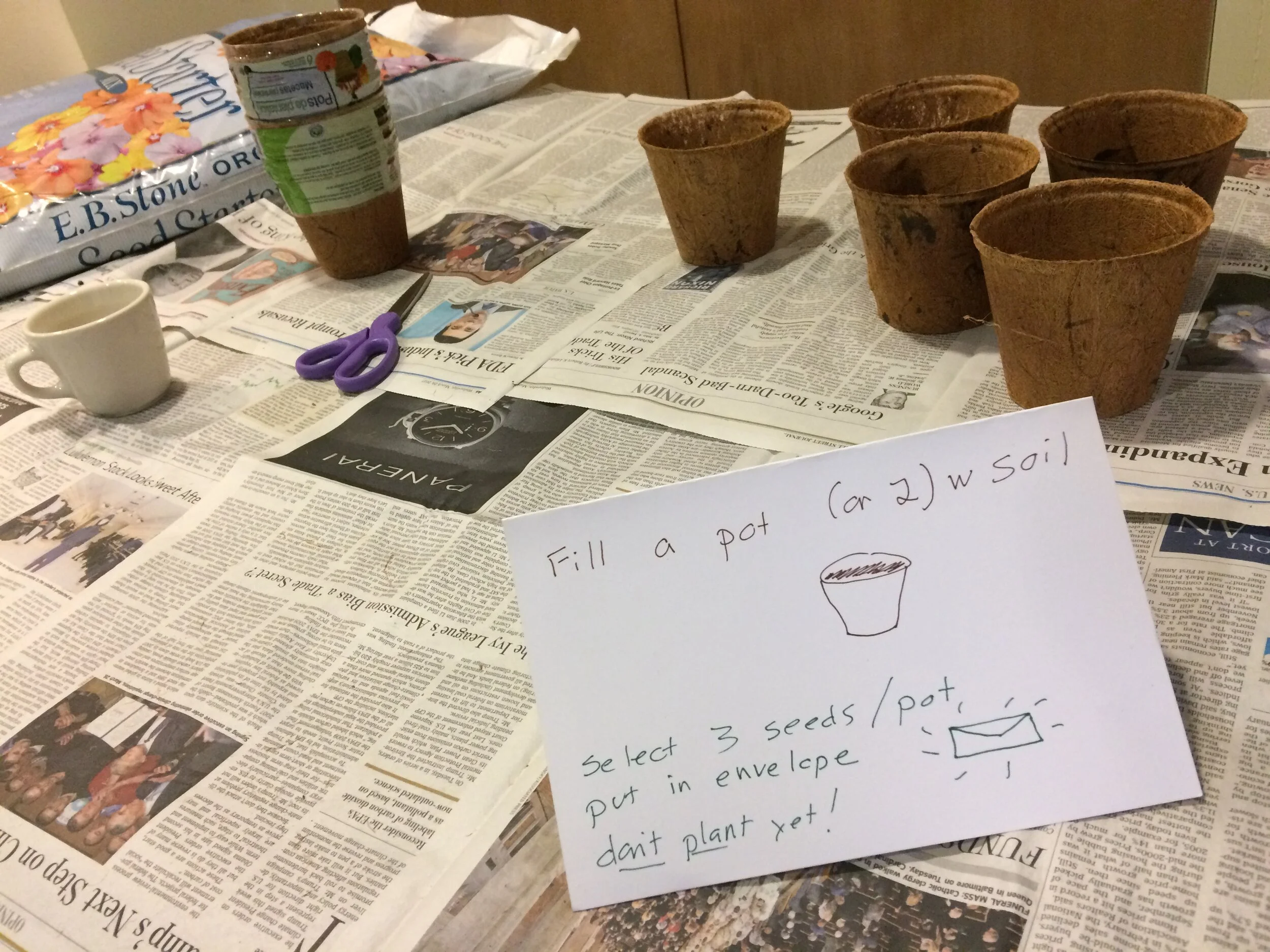 Q&amp;A for Seeds of Wisdom Campaign