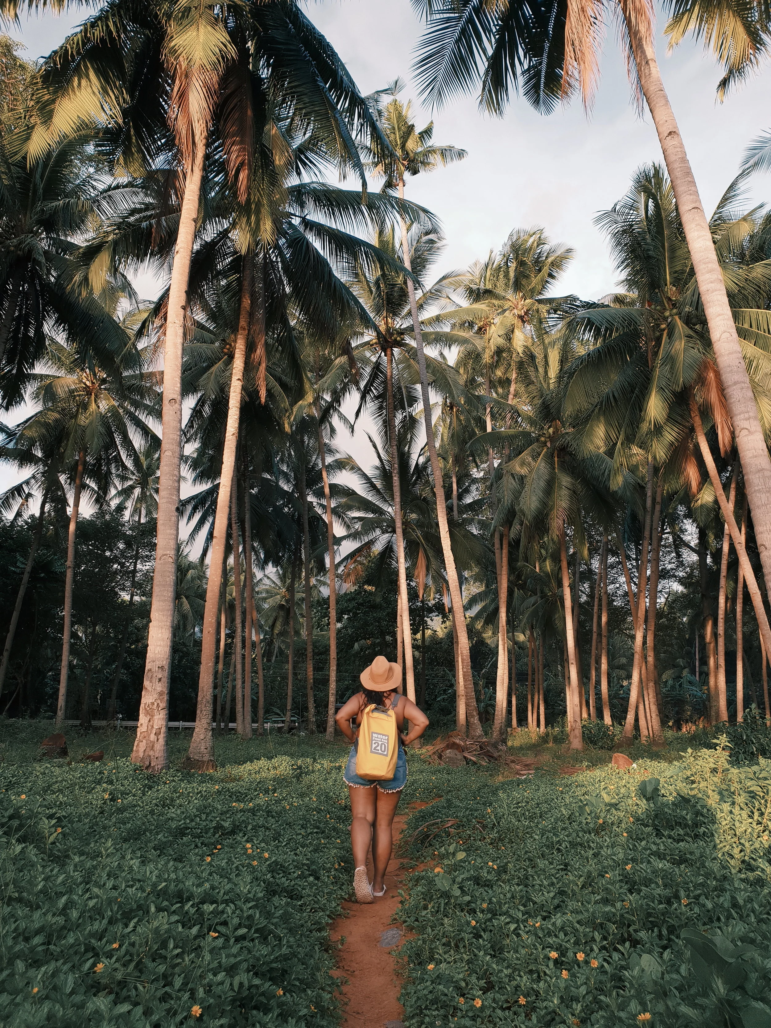 Hibok Hibok Volcano is the Youngest Active Volcano in Camiguin