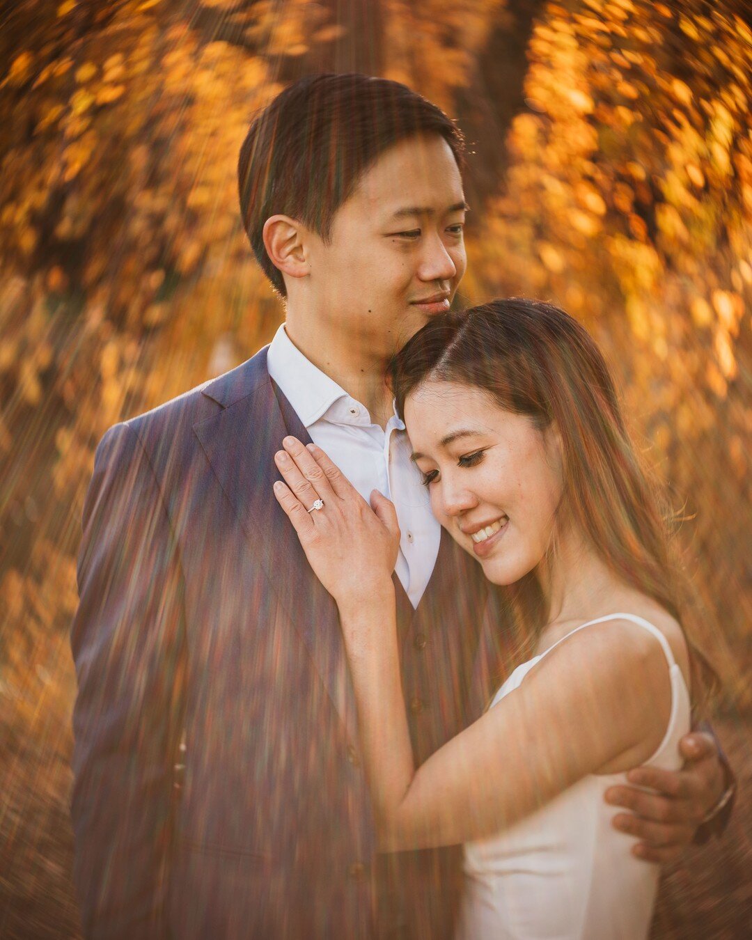 Golden hour at the public garden in Fall! A winning recipe.

#bostonpublicgarden #bostonpublicgardenengagement #bostonpublicgardenengagementsession #bostonengagement #bostonengagementphotographer #bostonengagementsession #bostonengagementphotos #bost