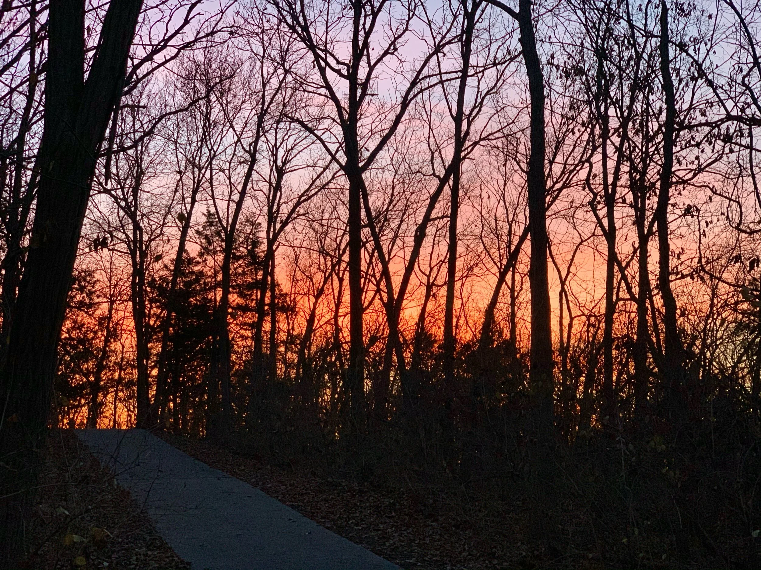 It’s All Downhill From Here