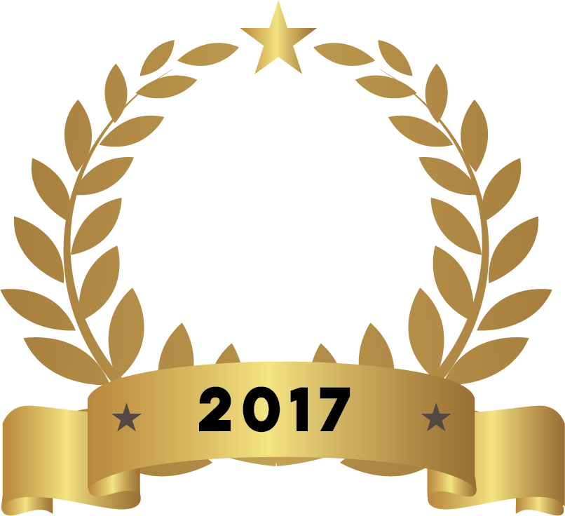 Top Sales Person 2017 - white.png