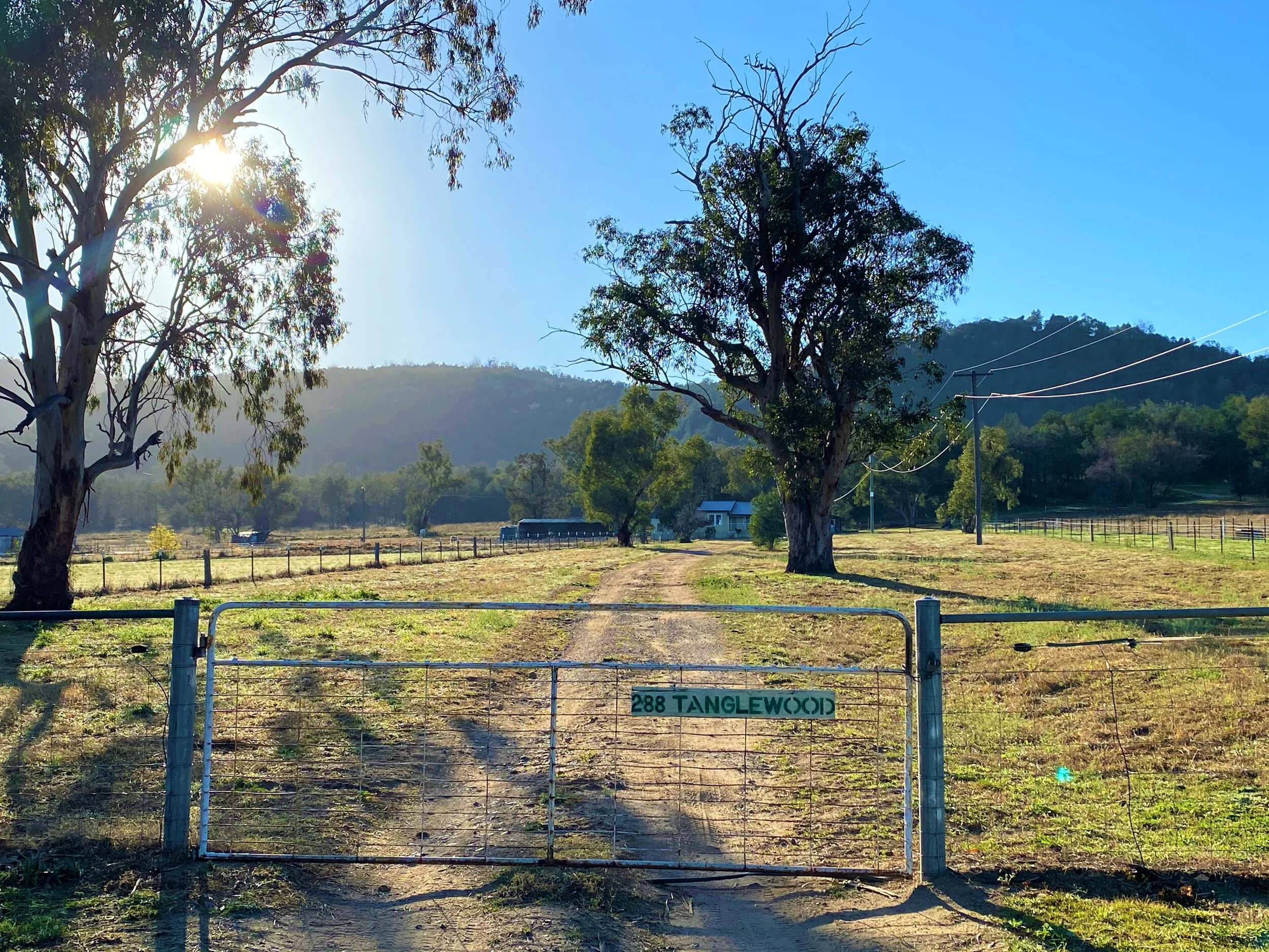 7.7 Acres, Cute Cottage, Sheds, Equine Barn &amp; Stables