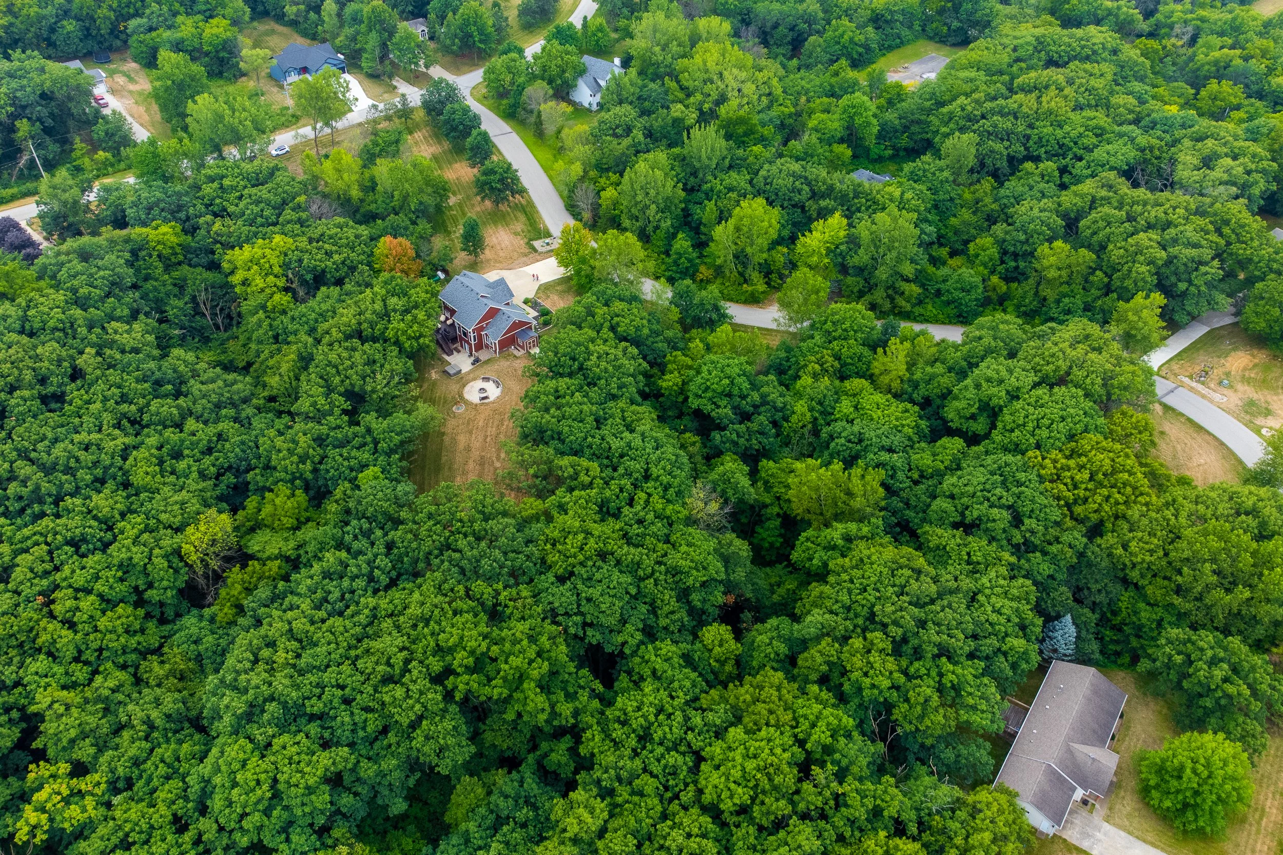36908 Forest Ln Drone-2.jpg