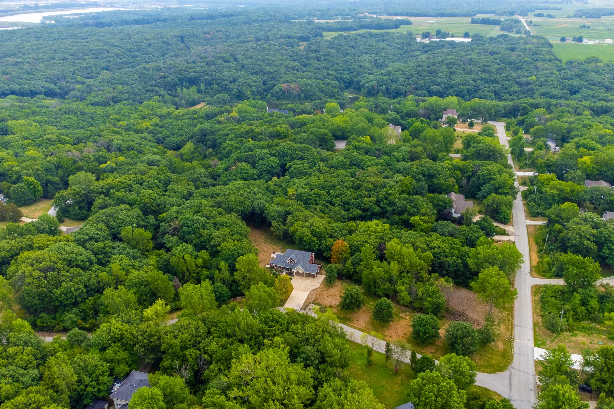 36908 Forest Ln Drone-4.jpg
