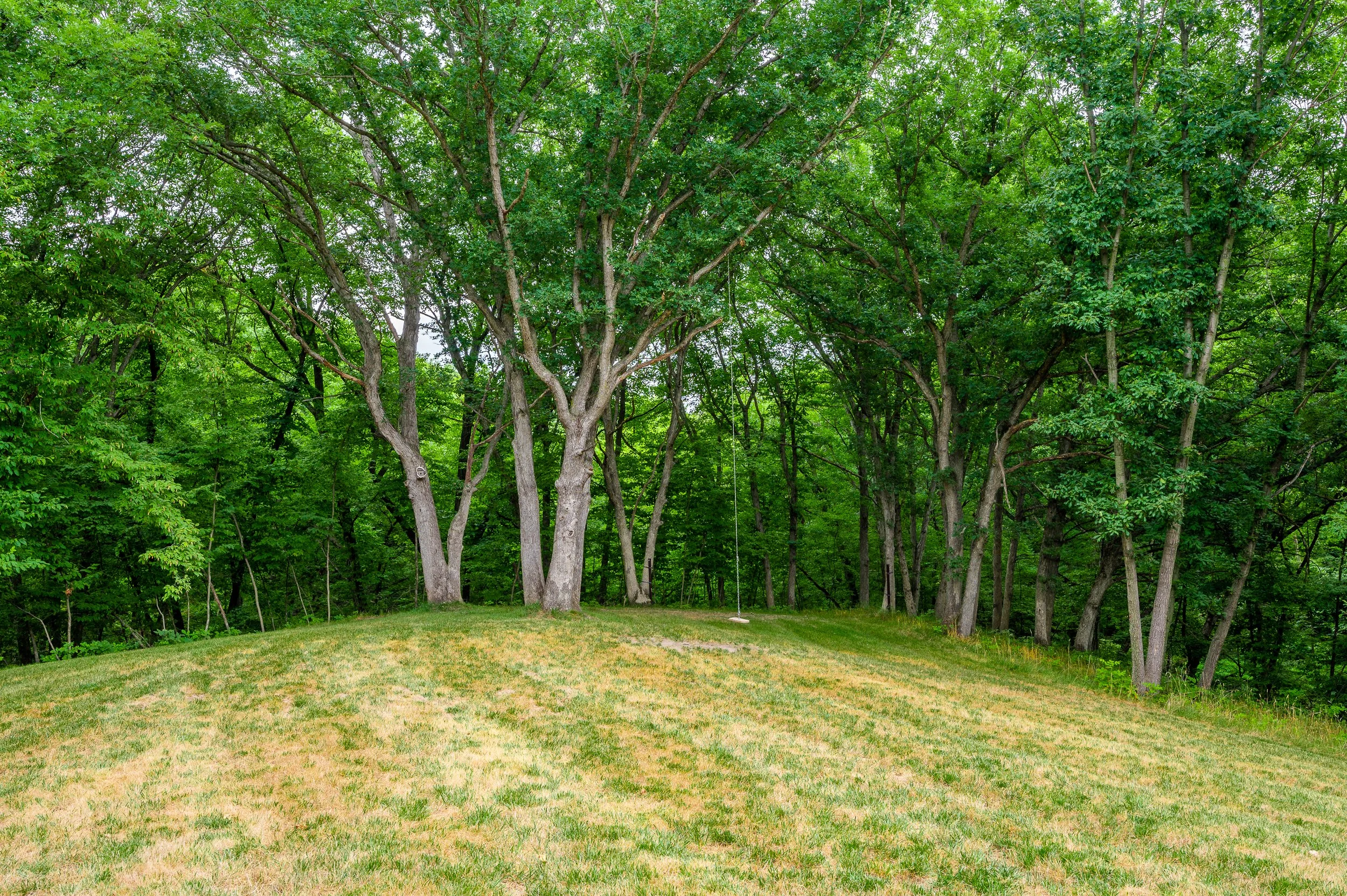 36908 Forest Ln Ext-15.jpg
