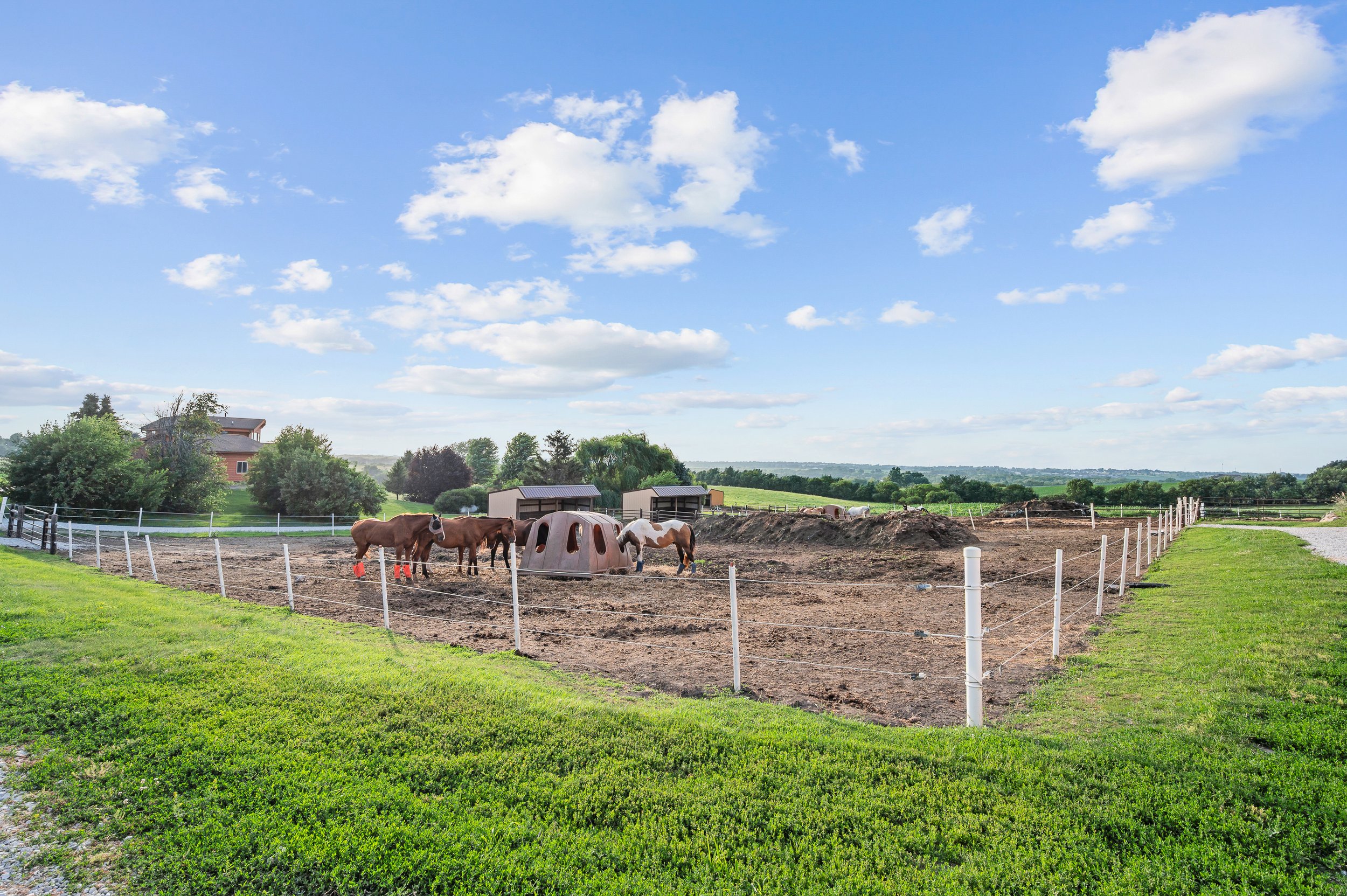 Copper Moon Stables - 06.jpg