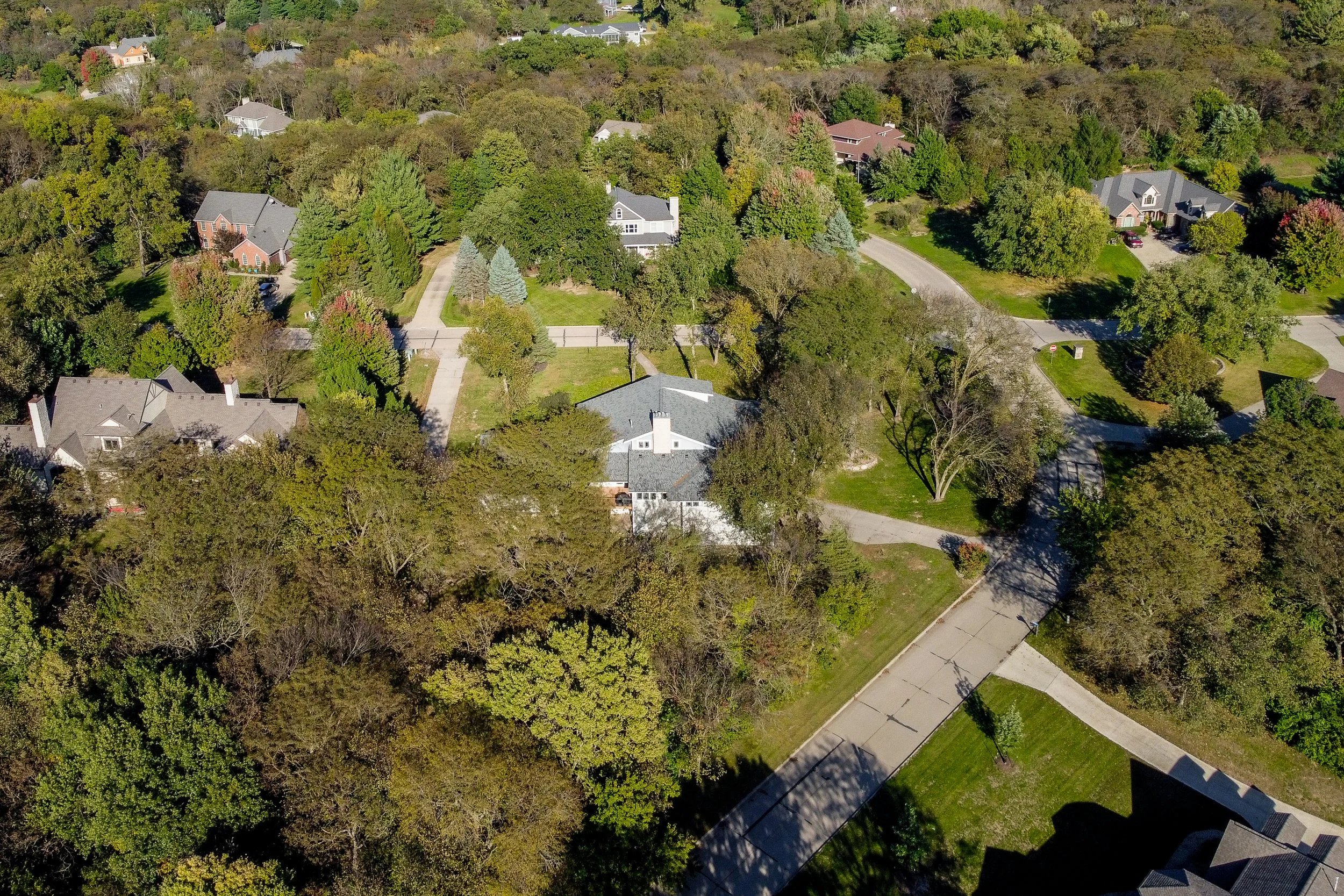 River Oak Drone - 04.jpg