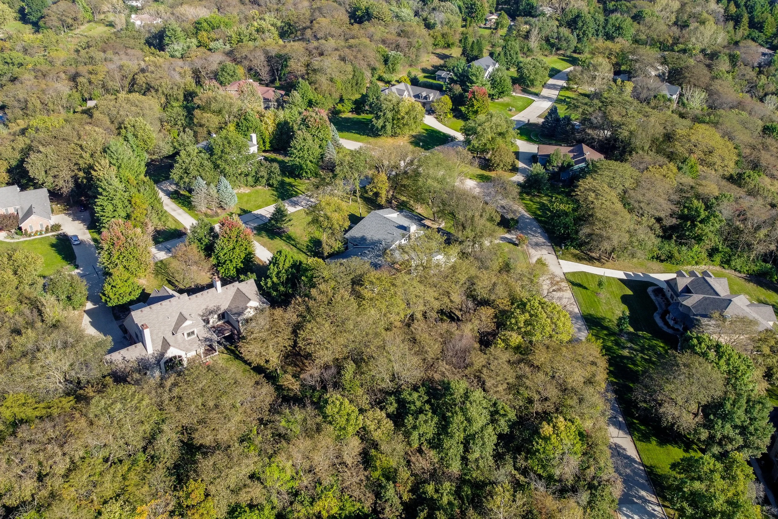 River Oak Drone - 03.jpg