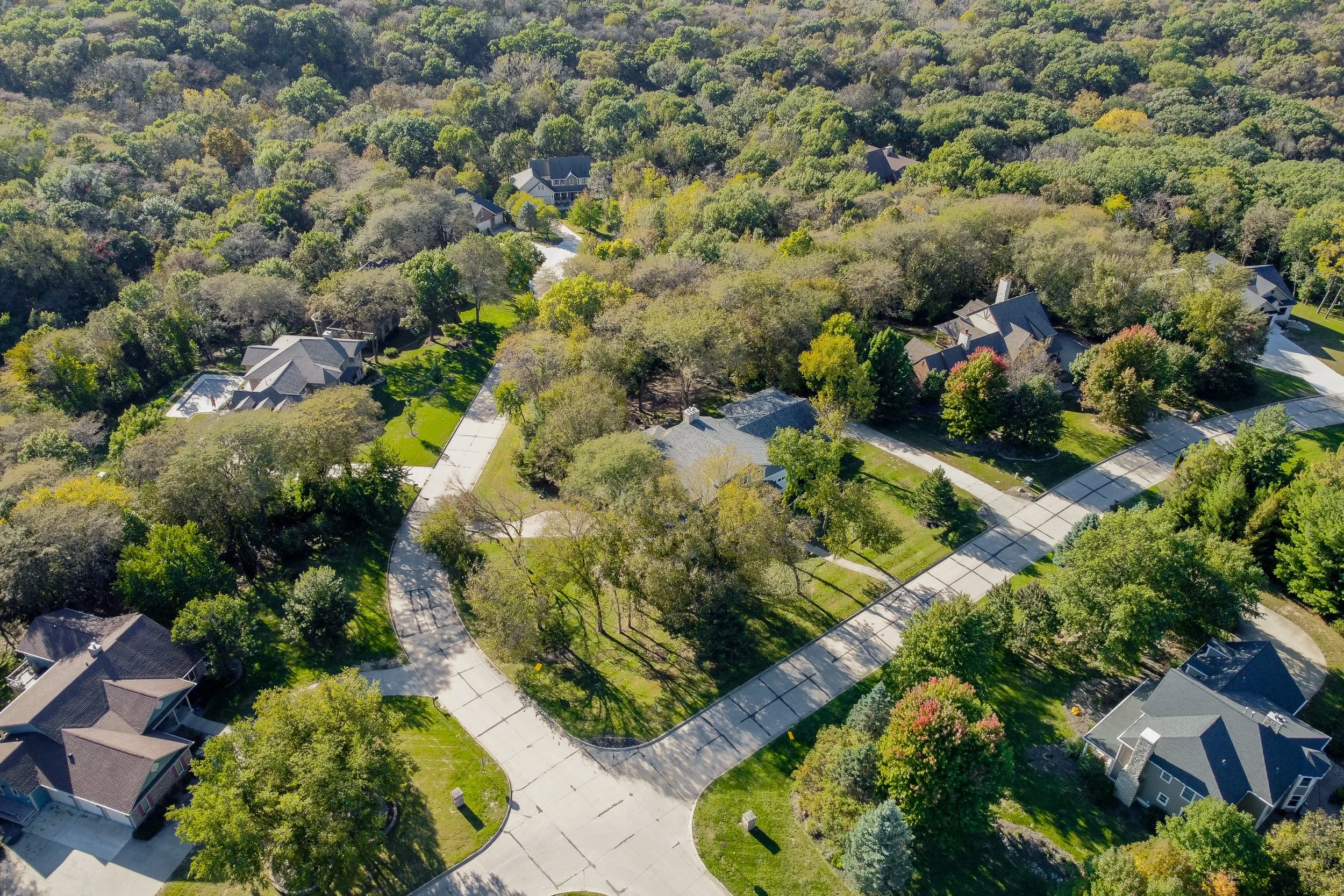 River Oak Drone - 05.jpg