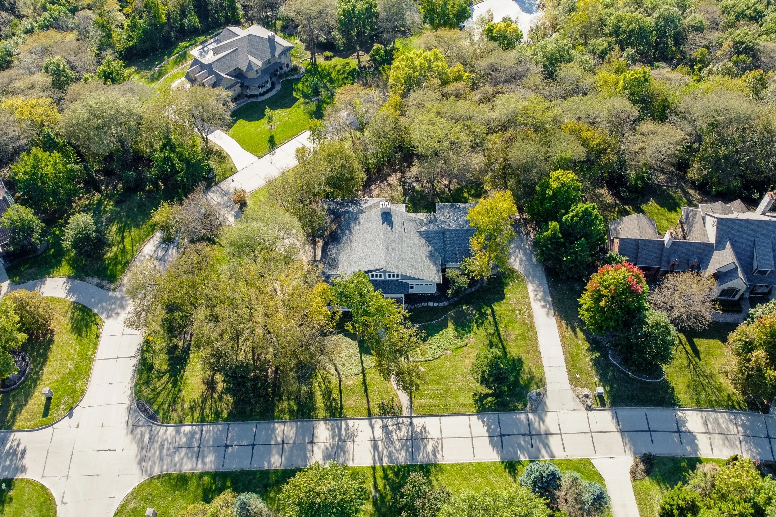 River Oak Drone - 06.jpg