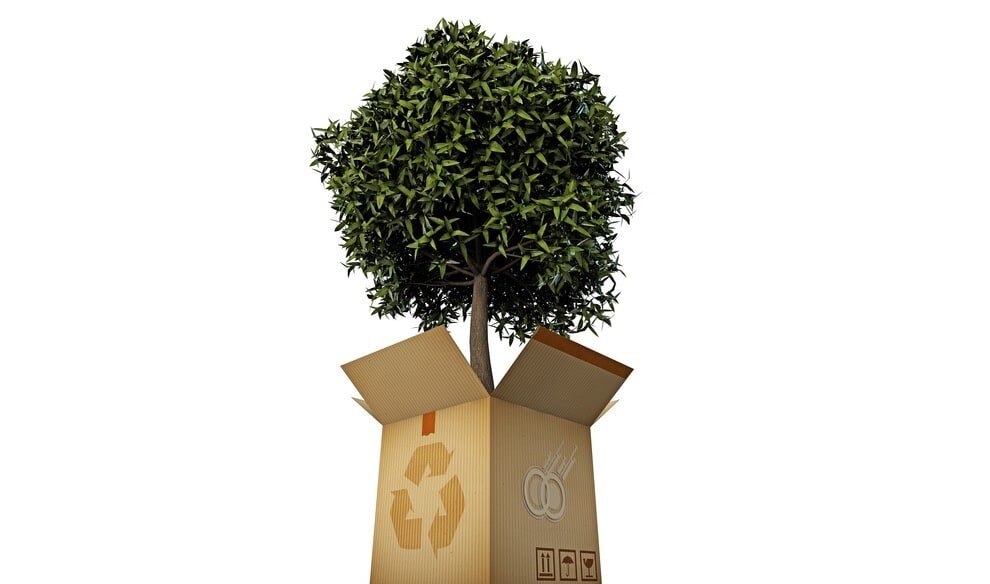 Eco-Friendly Packaging Solution