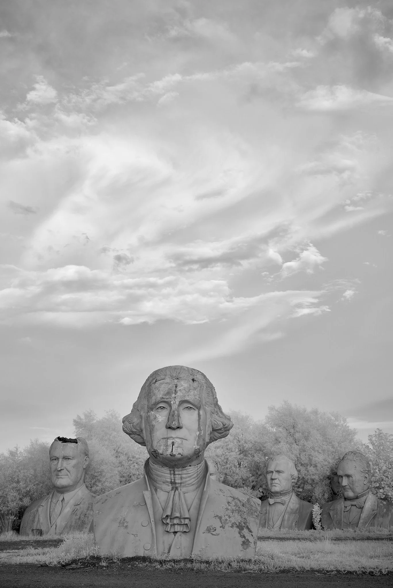 _DSC0428.jpg