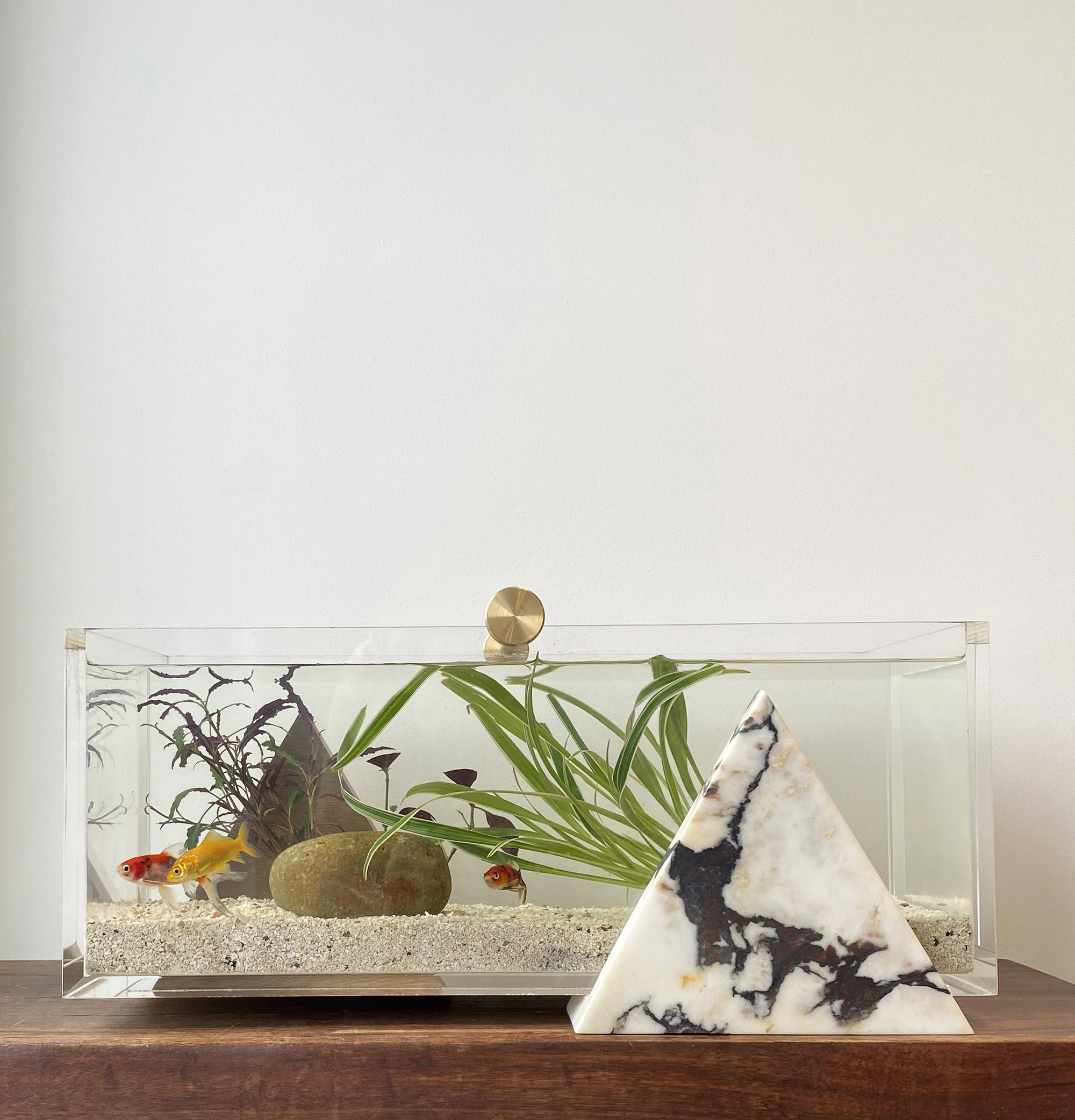 FISHBOX_07.jpg