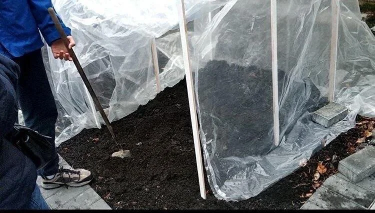 Lord Byng Secondary Gardening Project