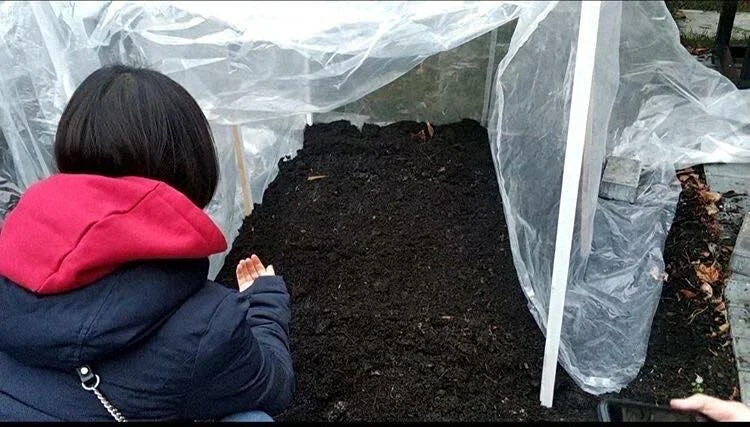 Lord Byng Secondary Gardening Project