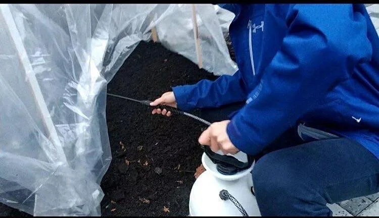 Lord Byng Secondary Gardening Project