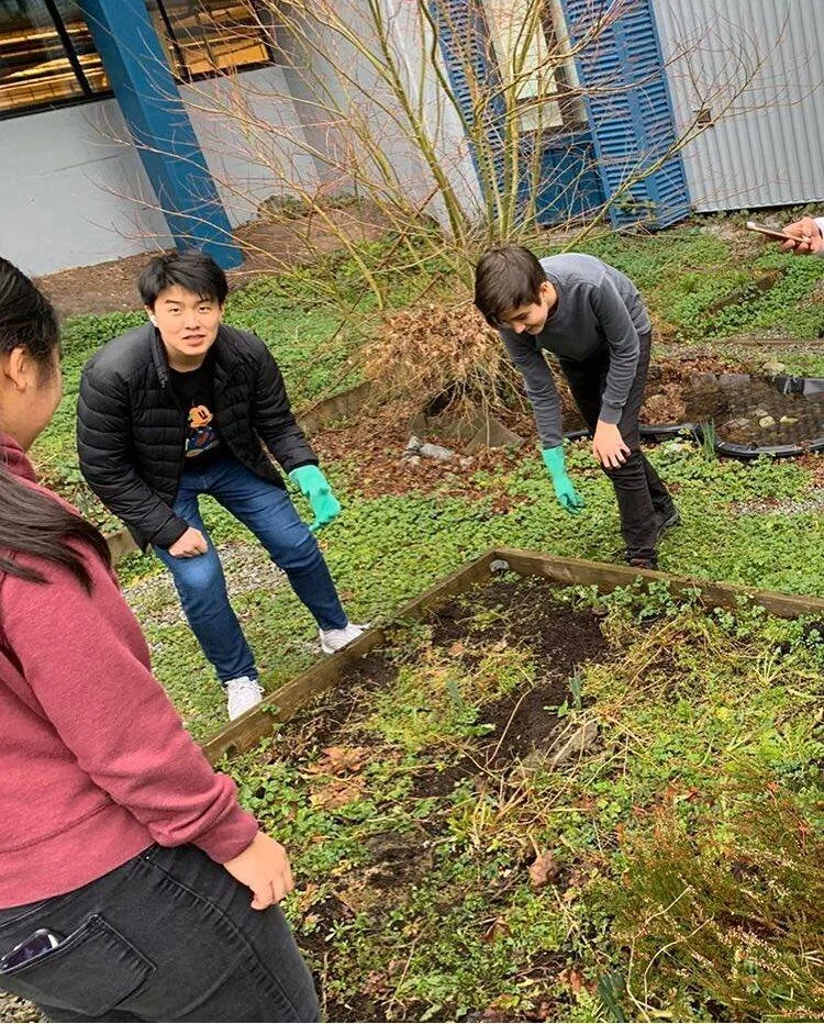 Port Moody Secondary School garden22