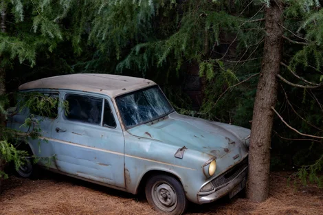 02A pretend Harry Potter flying car crashed into tree.jpg