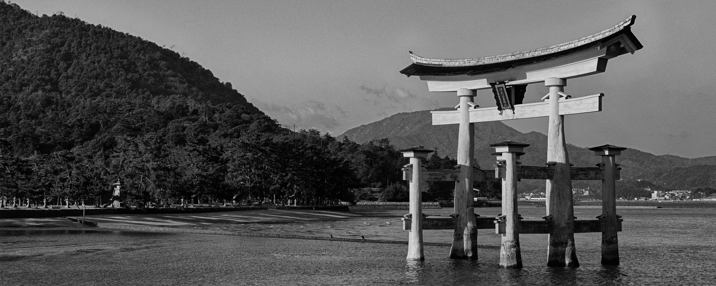 011: Japan 2016 day 11 | Miyajima, Nagoya, Oh wow... the madman actually did it