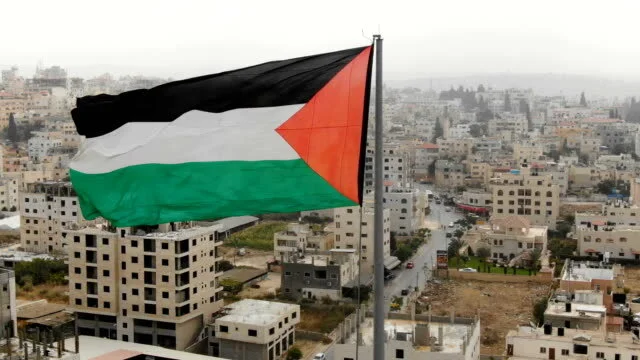 Significance and Challenges of the International Criminal Court's Decision on the Situation in Palestine