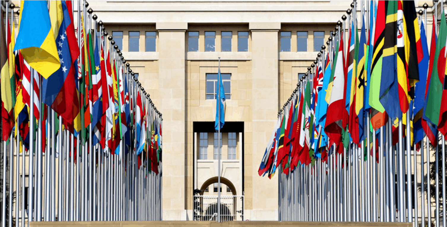 The Legality of Humanitarian Intervention