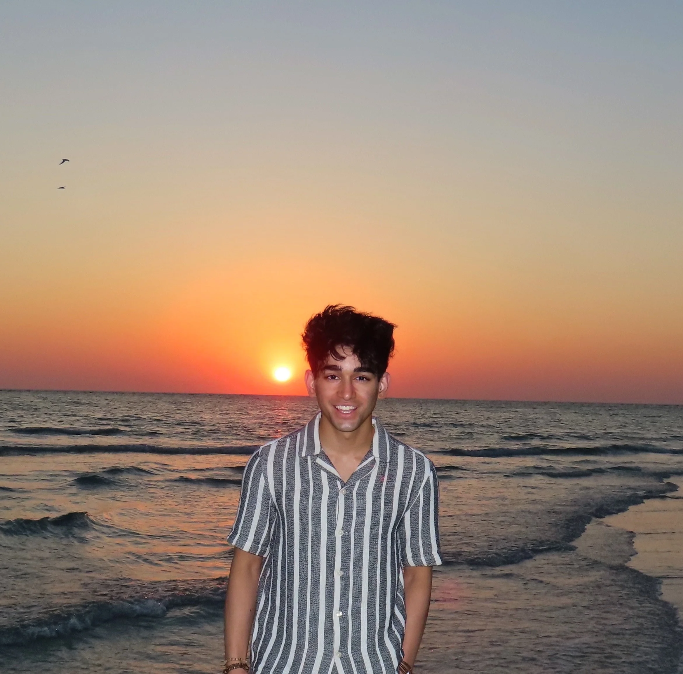 Ashwin Telang - Journal