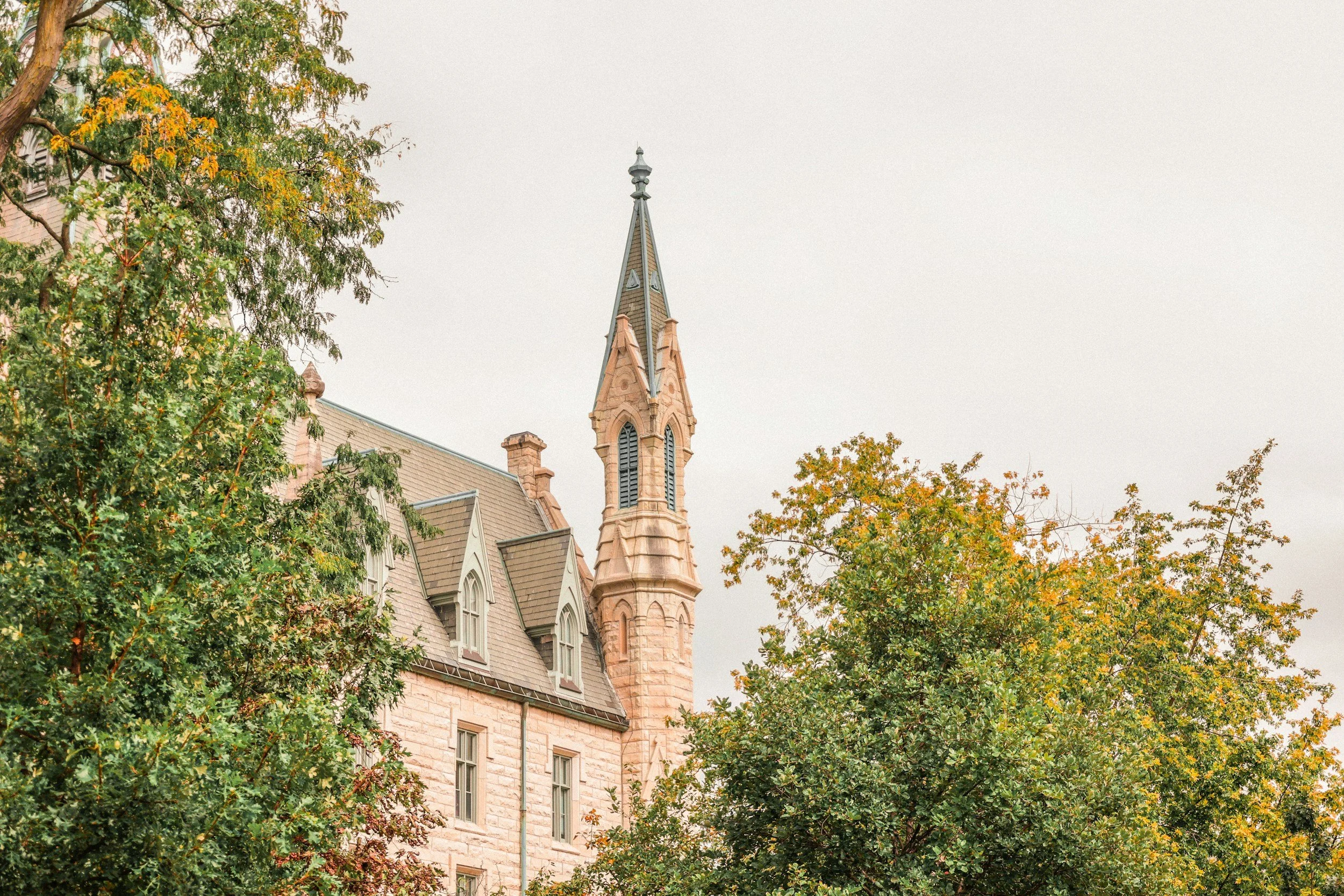 A Bolder Alternative, and the Legal Remedy for Northwestern's Funding Freeze