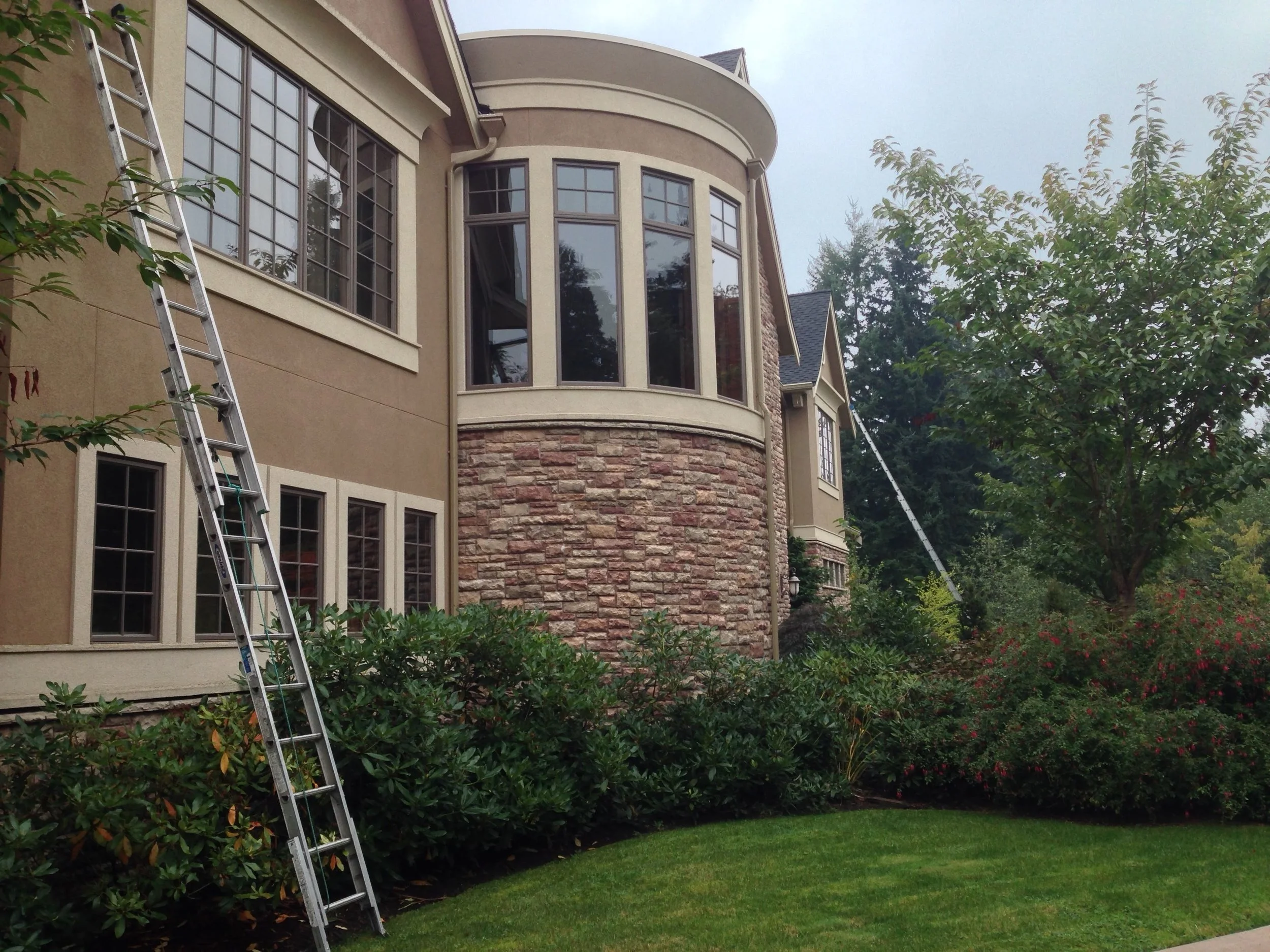Roof, Gutter & Window Cleaning Services in Seattle, Bellevue, Camano