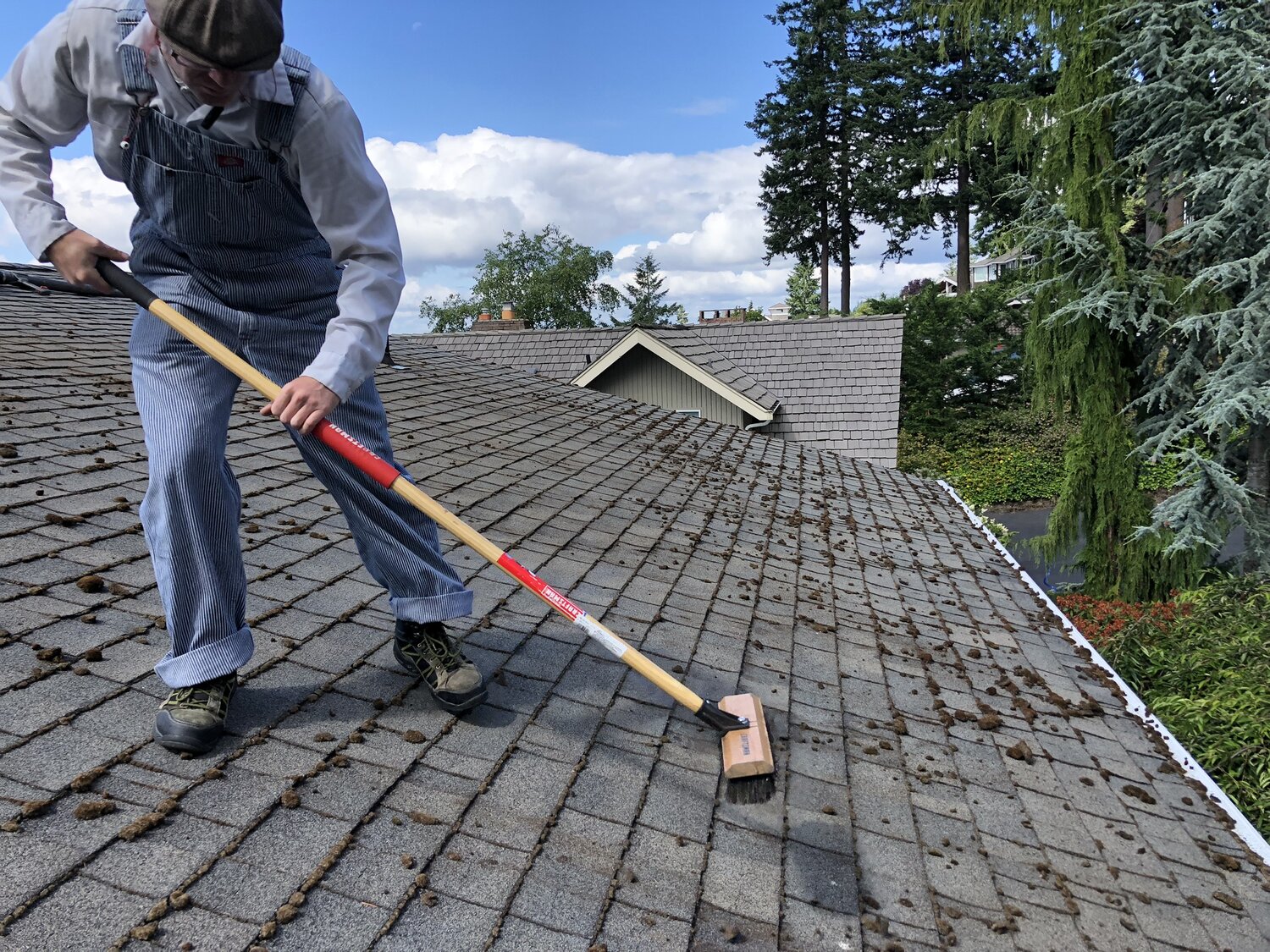 Roof Cleaning in Hampton VA