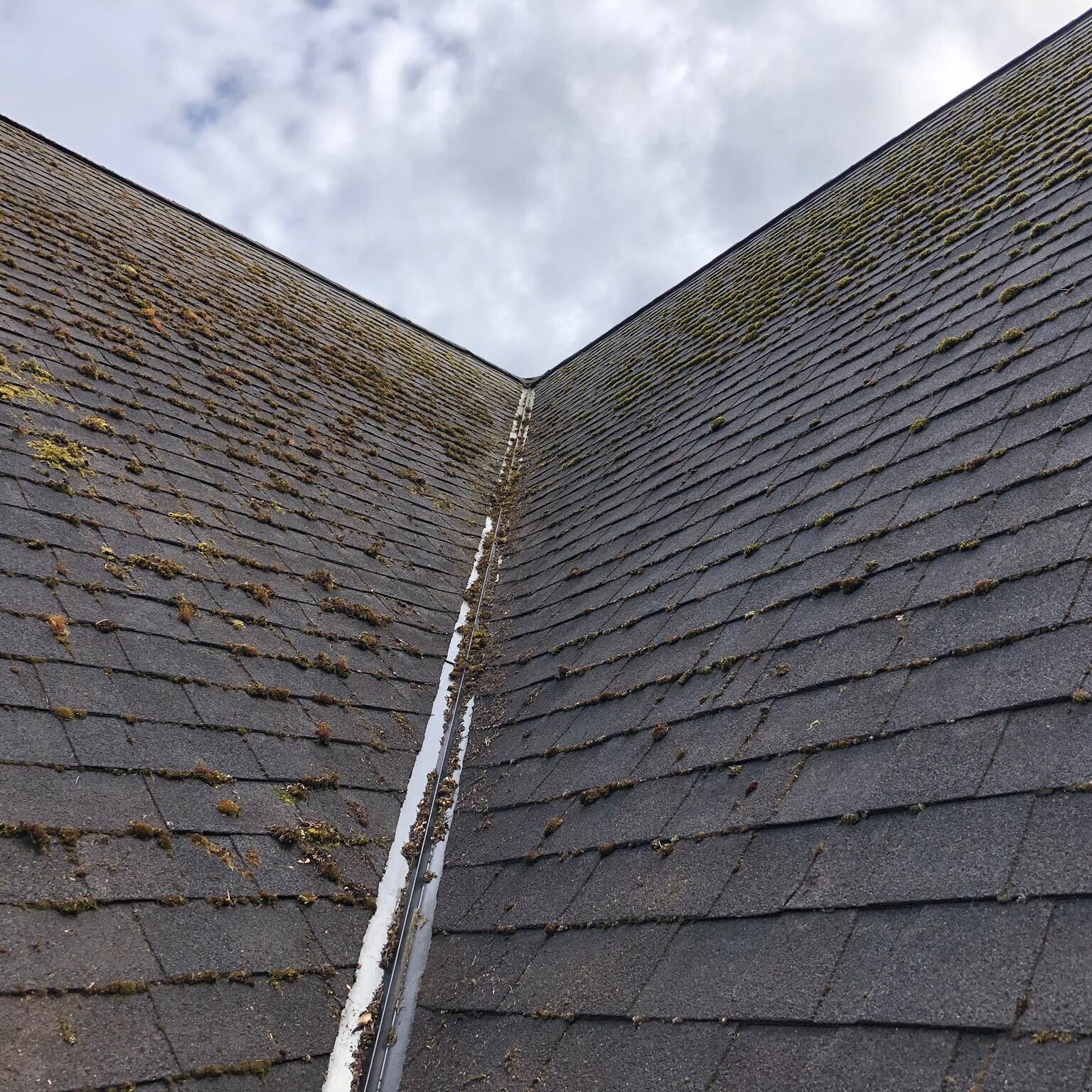 Castle Keeper's Maintenance Roof Cleaning Service Vero Beach Fl