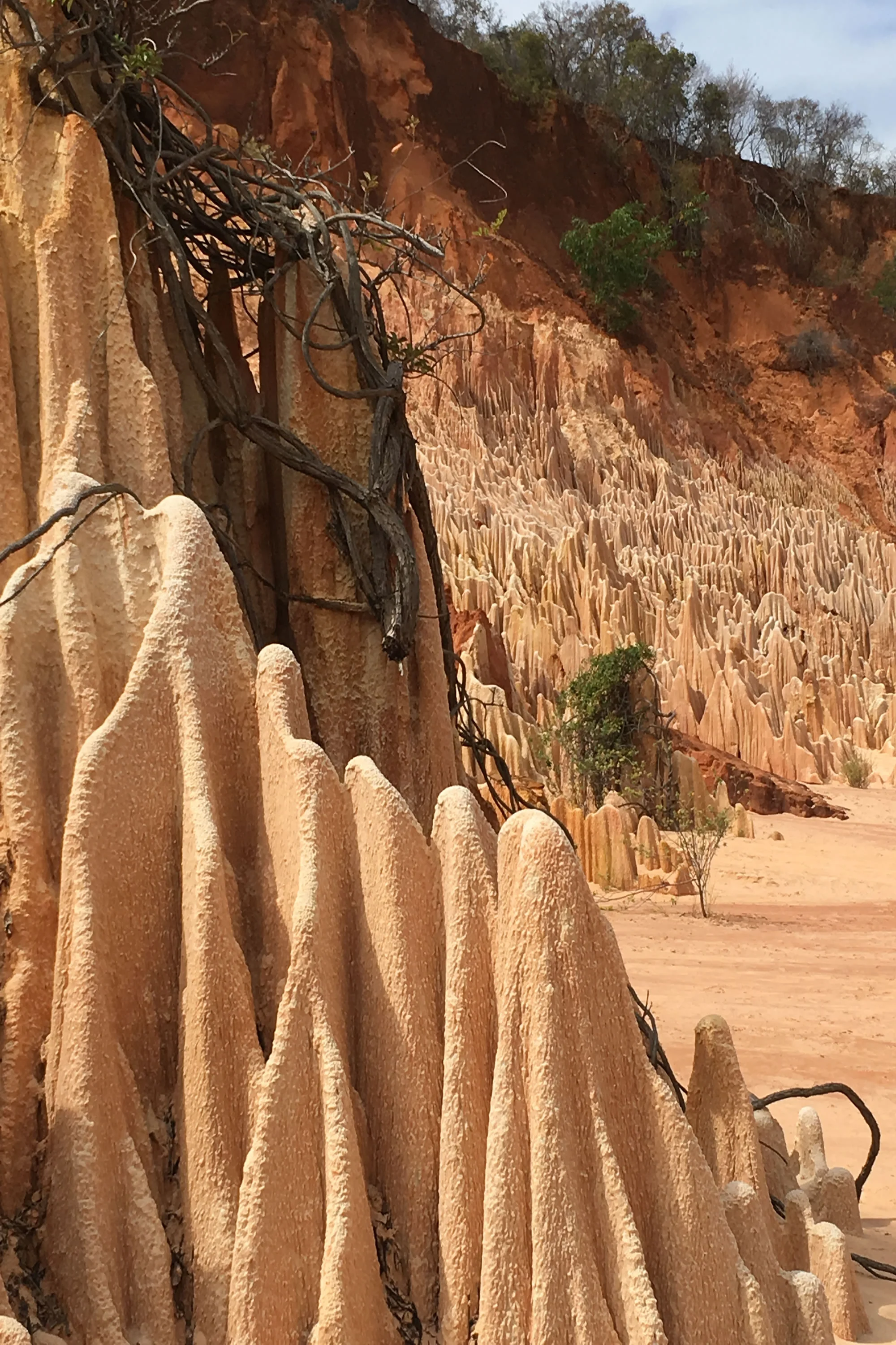 Tsingy Rouge, Madagascar